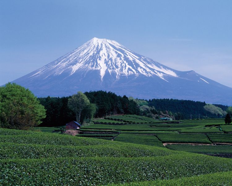 קובץ:Fuji shizuoka.jpg