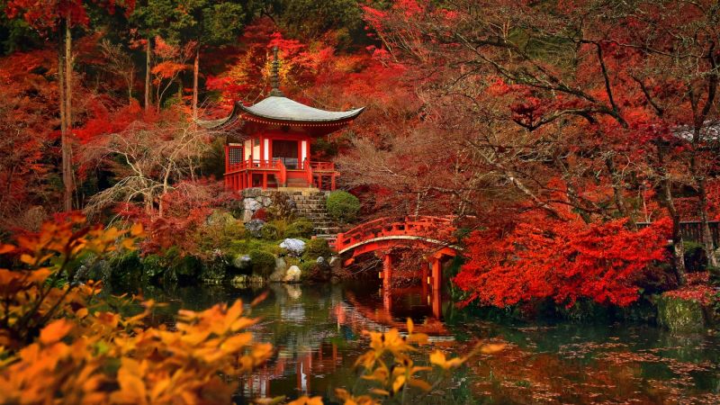 קובץ:Japan autumn.jpg