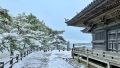 Matsushima-snow.jpg