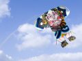 Japanese kite.jpg