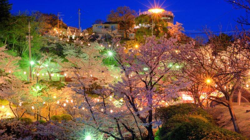 קובץ:Kurashki city at night during Hanami (Sakura blooming season). Okayama Prefecture. Japan-2.jpg